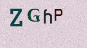 Visual Confirmation Security Code