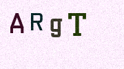 Visual Confirmation Security Code