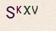 Visual Confirmation Security Code