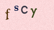 Visual Confirmation Security Code