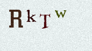 Visual Confirmation Security Code