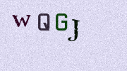 Visual Confirmation Security Code