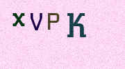 Visual Confirmation Security Code