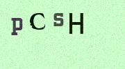 Visual Confirmation Security Code