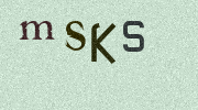 Visual Confirmation Security Code