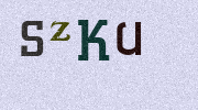 Visual Confirmation Security Code