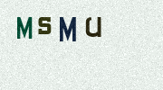 Visual Confirmation Security Code