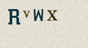 Visual Confirmation Security Code