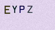 Visual Confirmation Security Code