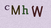 Visual Confirmation Security Code