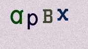Visual Confirmation Security Code