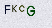 Visual Confirmation Security Code