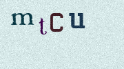 Visual Confirmation Security Code
