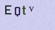 Visual Confirmation Security Code