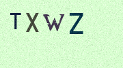 Visual Confirmation Security Code