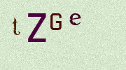 Visual Confirmation Security Code
