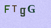 Visual Confirmation Security Code