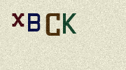 Visual Confirmation Security Code