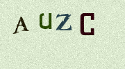 Visual Confirmation Security Code