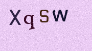 Visual Confirmation Security Code