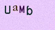 Visual Confirmation Security Code
