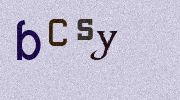 Visual Confirmation Security Code