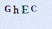 Visual Confirmation Security Code
