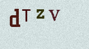 Visual Confirmation Security Code