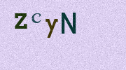 Visual Confirmation Security Code