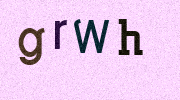 Visual Confirmation Security Code