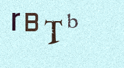 Visual Confirmation Security Code