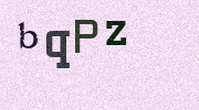 Visual Confirmation Security Code