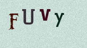 Visual Confirmation Security Code