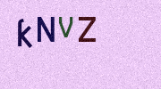 Visual Confirmation Security Code