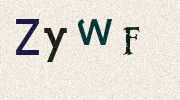 Visual Confirmation Security Code