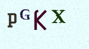 Visual Confirmation Security Code