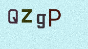 Visual Confirmation Security Code