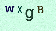 Visual Confirmation Security Code