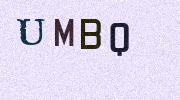 Visual Confirmation Security Code