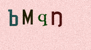 Visual Confirmation Security Code