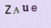 Visual Confirmation Security Code