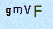 Visual Confirmation Security Code