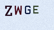 Visual Confirmation Security Code
