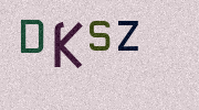 Visual Confirmation Security Code