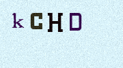 Visual Confirmation Security Code