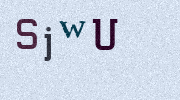 Visual Confirmation Security Code