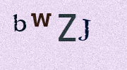 Visual Confirmation Security Code
