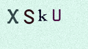 Visual Confirmation Security Code