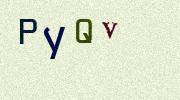 Visual Confirmation Security Code