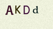 Visual Confirmation Security Code
